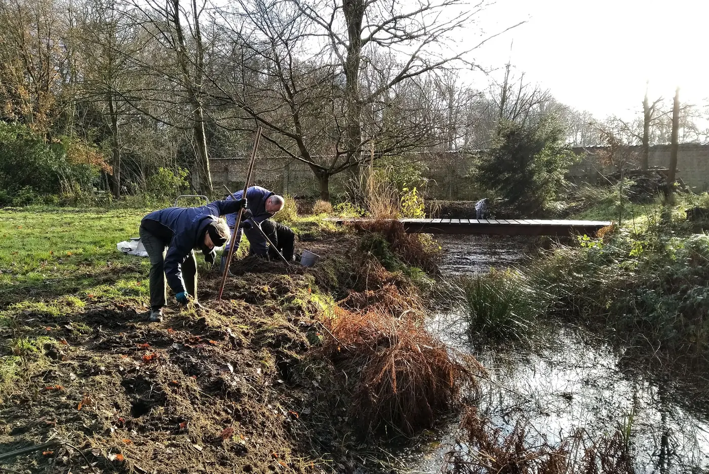 Vrijwilligers werken samen in het domein